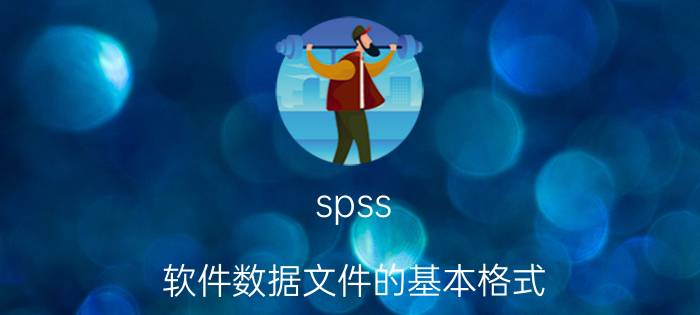 spss 软件数据文件的基本格式 spss数据存为dat格式的作用？